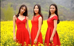 欧美极品金发尤物大战黑人